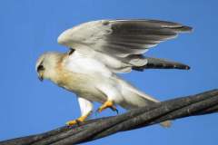 480315843_9273263329408236_3522393069441520092_n