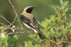 480316072_9273263622741540_7563697913555036922_n