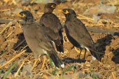 480349036_9294377853963450_2697575373463263582_n