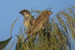 480355333_9294377700630132_442454883027255740_n