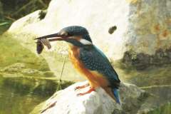 480371384_9281176665283569_3032976973156442912_n