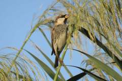 480740169_9294377833963452_8622479479820023202_n