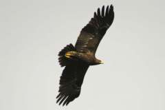 481148587_9366266530107915_3800554878180131155_n