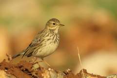 481666501_9395098580558043_6502300614717076626_n