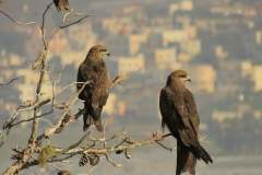 481672199_9395098437224724_2801392488214067831_n