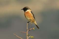 481775266_9395098387224729_335154697982878792_n