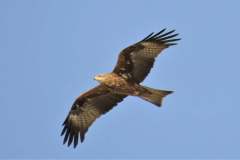 482088818_9366266513441250_4331617830626683262_n