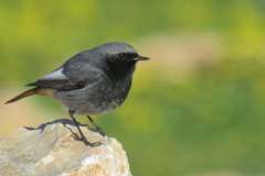 482227954_9429038880497346_64100278749261875_n