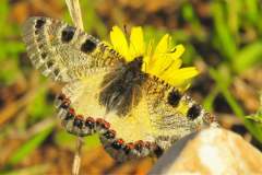 482243215_9403932383007996_2943698624048349452_n