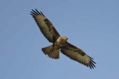 482961528_9429038883830679_1211632335034442702_n