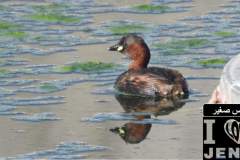 484355661_1036716218487646_4376684545842516748_n