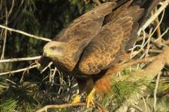 484498699_9466240916777142_5910176601487165065_n