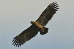 484554382_9466223756778858_6558982820641915998_n