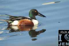 484869618_1036716138487654_3503750509224290168_n