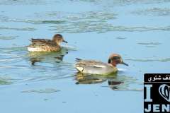 484871673_1036716198487648_3279341898465472627_n