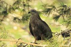 484900772_9466241010110466_3067256796168962657_n