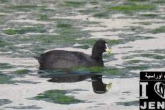 484916765_1036716348487633_4088354824346882004_n