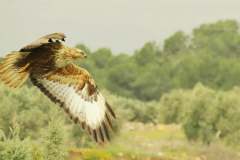 485108248_9488221321245768_7635482072587840109_n