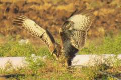 485773569_9489982881069612_5778815998961739554_n