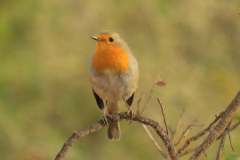 485800312_9489982571069643_4755415492985763472_n