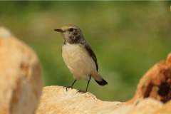 485932980_9493245770743323_3500651358832191295_n