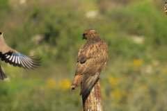 485944584_9496493817085185_6699346171598610768_n