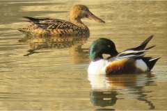 486019473_9481800381887862_8032537579579365559_n