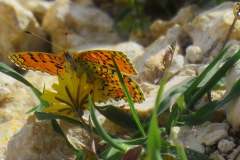 486056143_9506104226124144_4478189936452377814_n