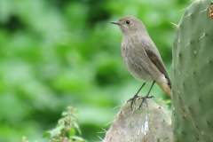 486167395_9493245547410012_69601580605469734_n