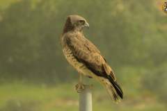 486208954_9506103979457502_1435509259812176003_n