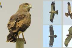 486570234_9502682699799630_8444686771253748817_n