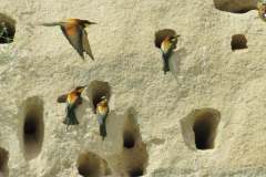 486643341_9515162975218269_5774076130900419888_n