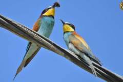 486648556_9515162818551618_5232183747617444626_n