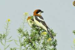 486678927_9506103956124171_6527034076055318889_n