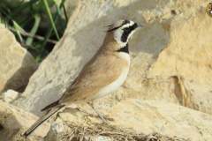 486809782_9514375081963725_2295721950499055193_n