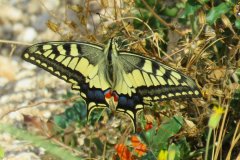 487106085_9538081179593115_1177643150204667321_n