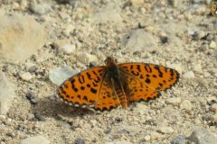 487207430_9534021709999062_6871575632925717841_n