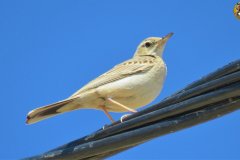 487402768_9534048329996400_8030928393538759509_n