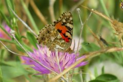 487418992_9534021649999068_3510731218205727520_n