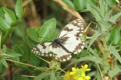 487441489_9534021666665733_4362812924584278503_n