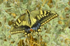 487441519_9534021686665731_3320523337477686667_n