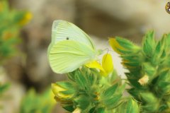 487673815_9534021726665727_1257575950240387744_n