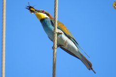 487712971_9546738462060720_664151490646539361_n