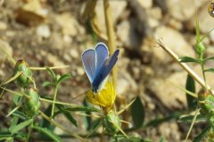 487762056_9534021669999066_736312601488543336_n