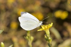 488770657_9591642224237010_2483114669230178744_n