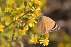 488976074_9591642080903691_5923533932520785632_n