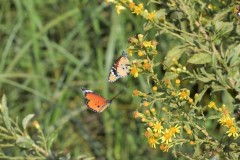 489060618_9591642267570339_1474800097638340963_n