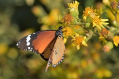 489075586_9591642017570364_5781505387132926190_n