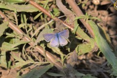 489449353_9591642147570351_2384559980758416777_n