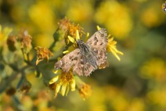 489485466_9591642307570335_8157658355353517382_n